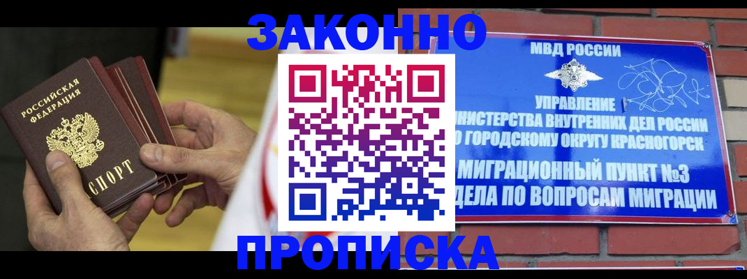 прописка для школы в Протвино